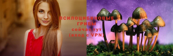прущая мука Яровое