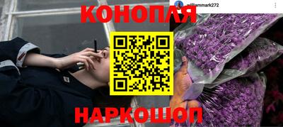 гидра Ирбит