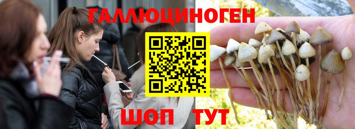 Первоуральск  Галлюциногенные грибы мухоморы  Галлюциногенные грибы Psilocybine cubensis  Вход с VPN 